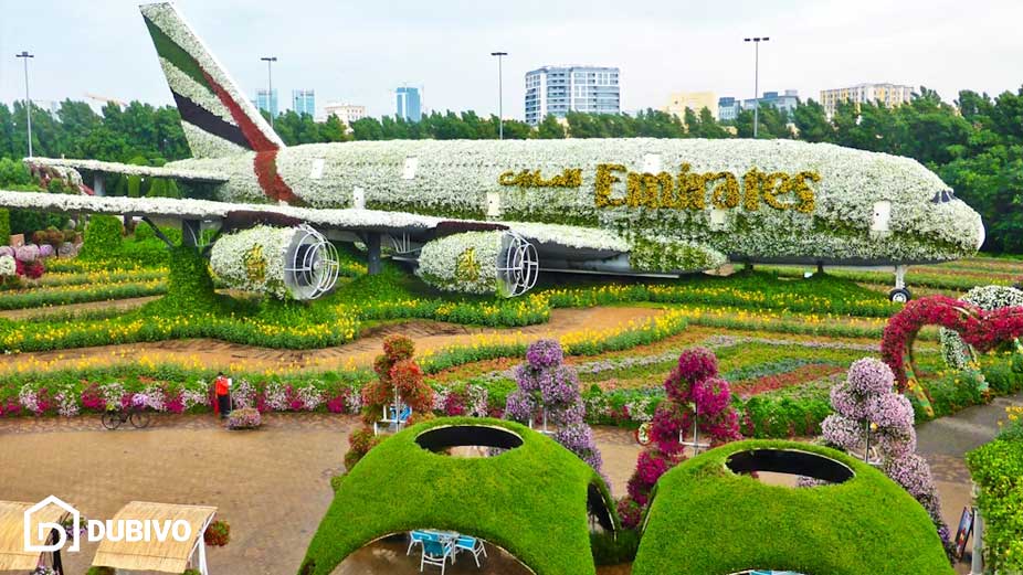 باغ پروانه ها دبی، از ویژگی ها تا قیمت بلیط برای بازدید! 7 آشنایی با باغ پروانه ها دبی