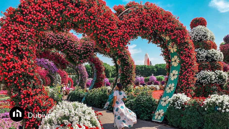 نحوه دسترسی، ساعت کار و قیمت بلیط باغ پروانه ها در دبی