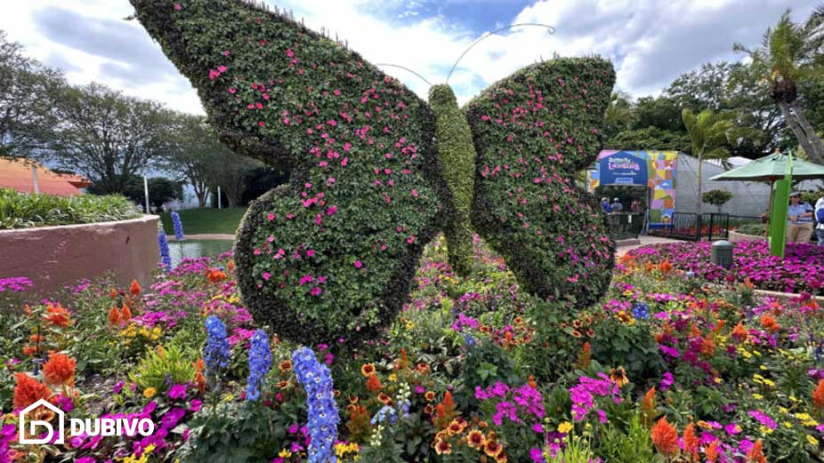 باغ پروانه ها دبی، از ویژگی ها تا قیمت بلیط برای بازدید! 9 نحوه دسترسی، ساعت کار و قیمت بلیط باغ پروانه ها در دبی