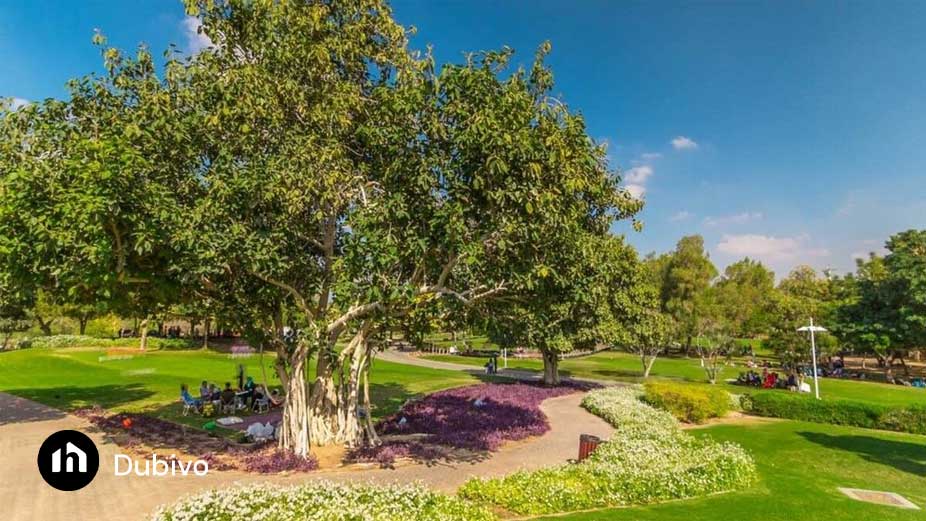 12.پارک خور دبی (Creek Park)