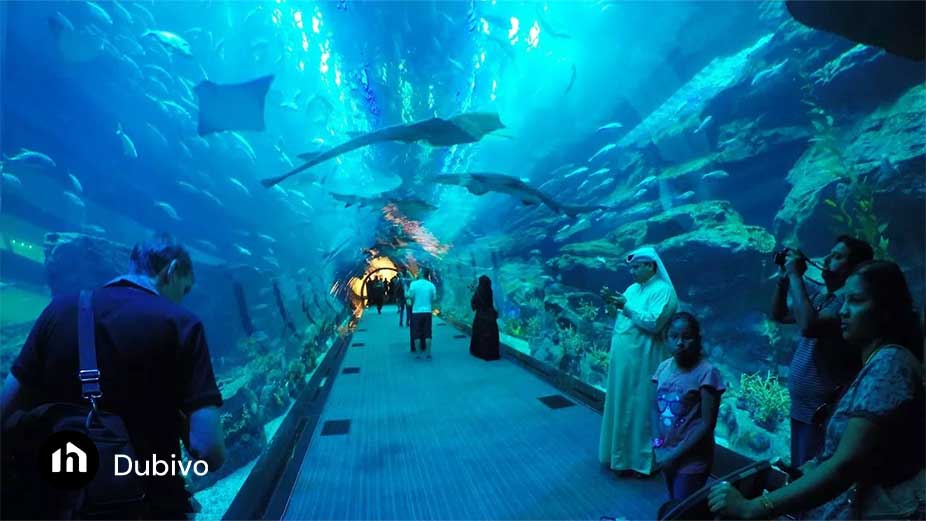 27. آکواریوم دبی در شب