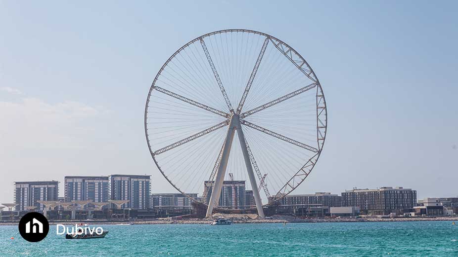 6. چرخ و فلک عین دبی (Ain Dubai)