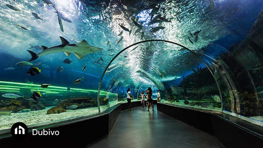 7.آکواریوم دبی مال (Dubai Aquarium & Underwater Zoo)