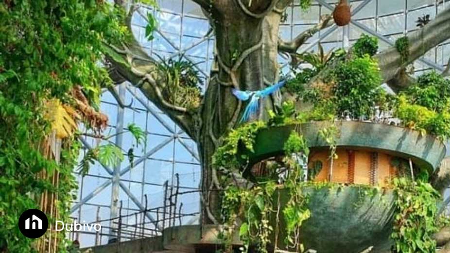 9.سیاره سبز (The Green Planet Dubai)