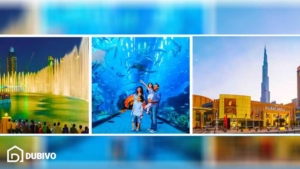 تفریحات رایگان دبی در روز تولد