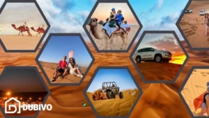 سافاری دبی کجاست؟