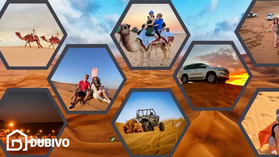 سافاری دبی کجاست؟