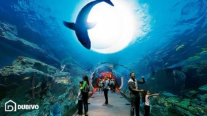 آکواریوم دبی کجاست