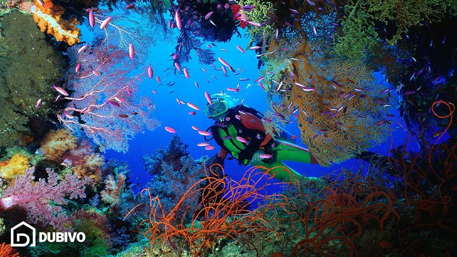 12.مرکز غواصی پاویلیون مارینا