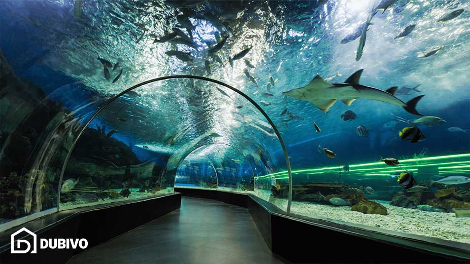 آکواریوم دبی مال
