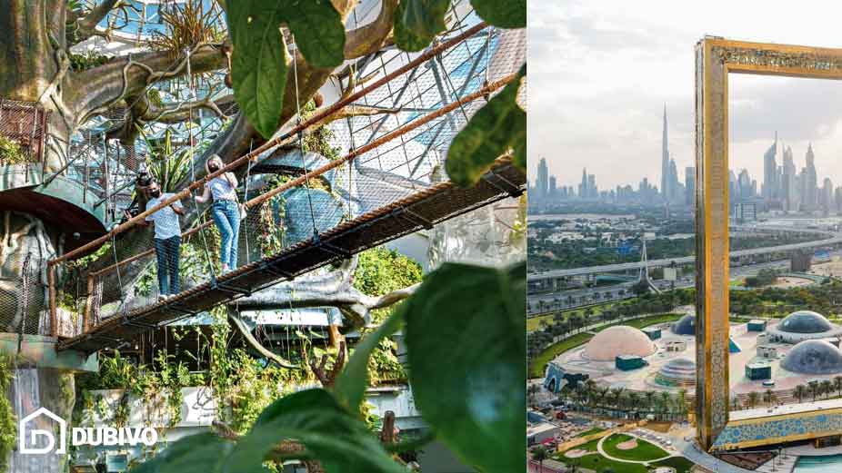 راهنمای جامع قاب دبی + معماری، دسترسی و تفریحات بزرگترین قاب عکس زمین 11 قاب دبی چه تفریحاتی دارد؟
