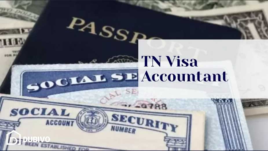 با اقامت دبی به کدام کشورها میتوان سفر کرد؟ راهنمای 2026 6 ویزای کاری دبی